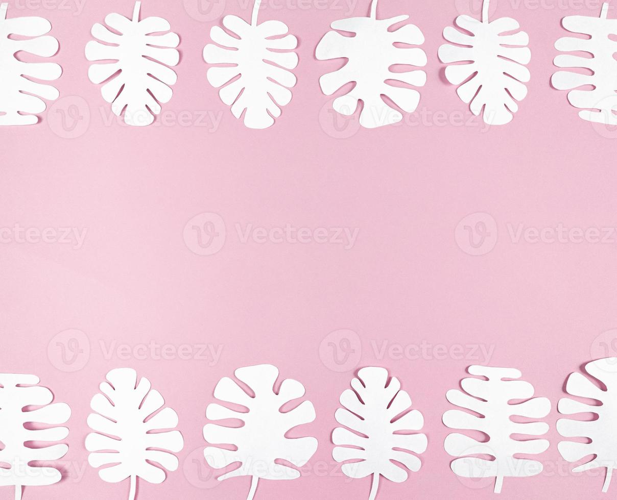 hojas de papel monstera blanco sobre fondo rosa con espacio de copia. foto