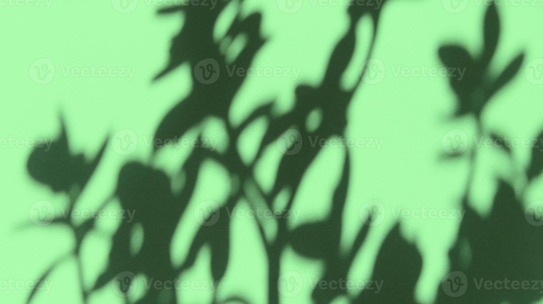 Leaves shadows on green pastel texture paper. Abstract backgorund. Stock photo. photo