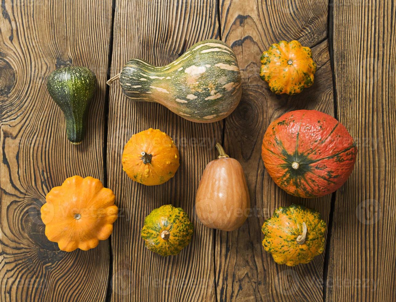 Gourd Stock Photos, Images and Backgrounds for Free Download