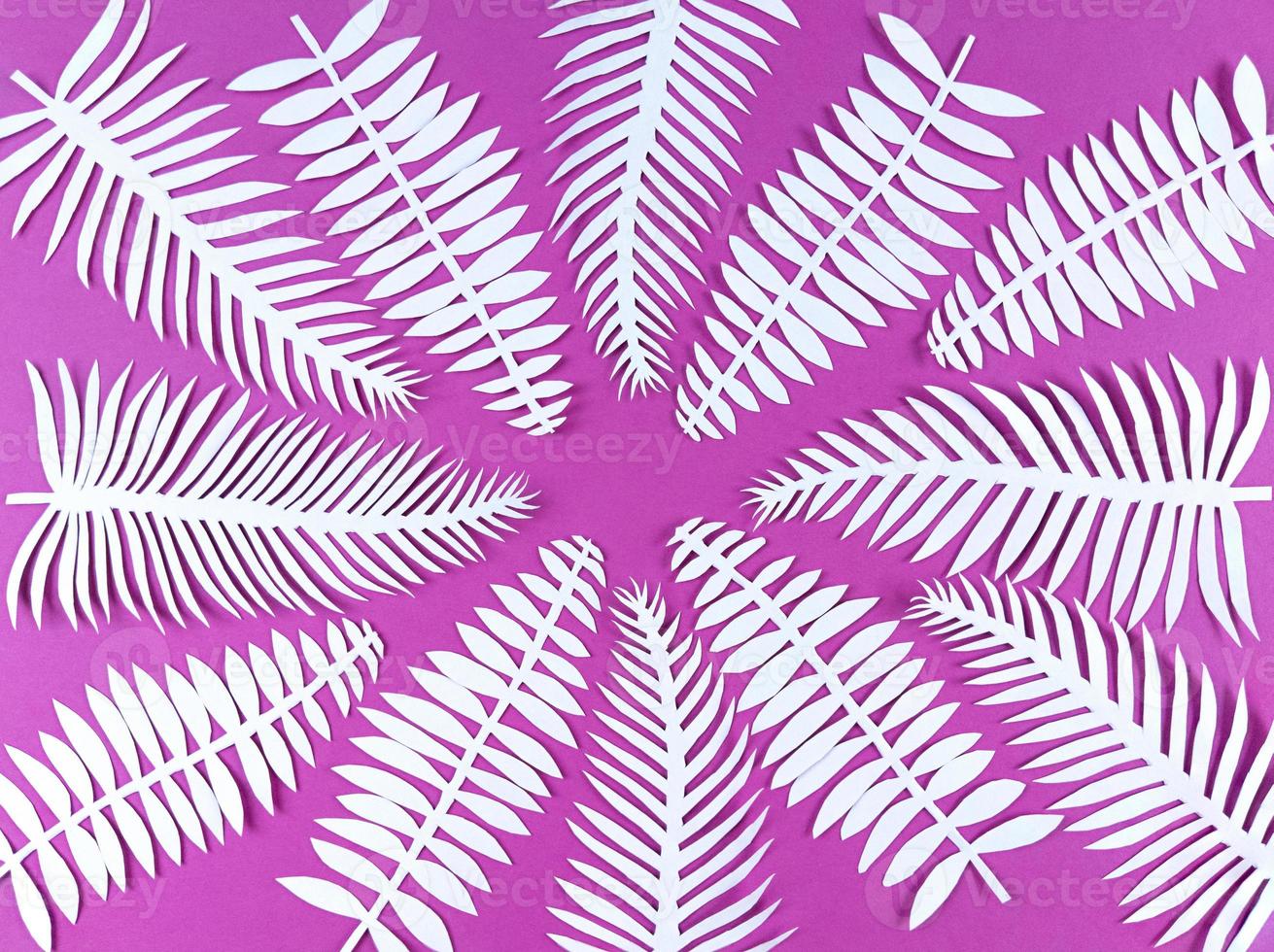 White paper cut leaves on pink background. photo