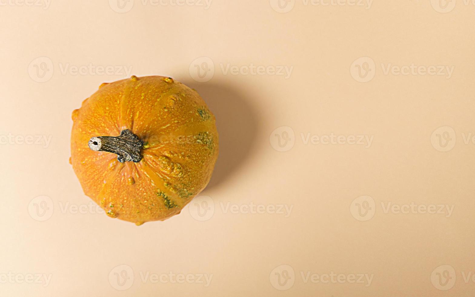 calabaza sobre un fondo beige. plano simple con espacio de copia. foto