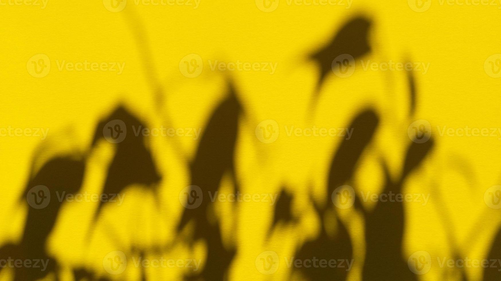 Leaves shadows on yellow pastel paper. Abstract backgorund. Stock photo. photo