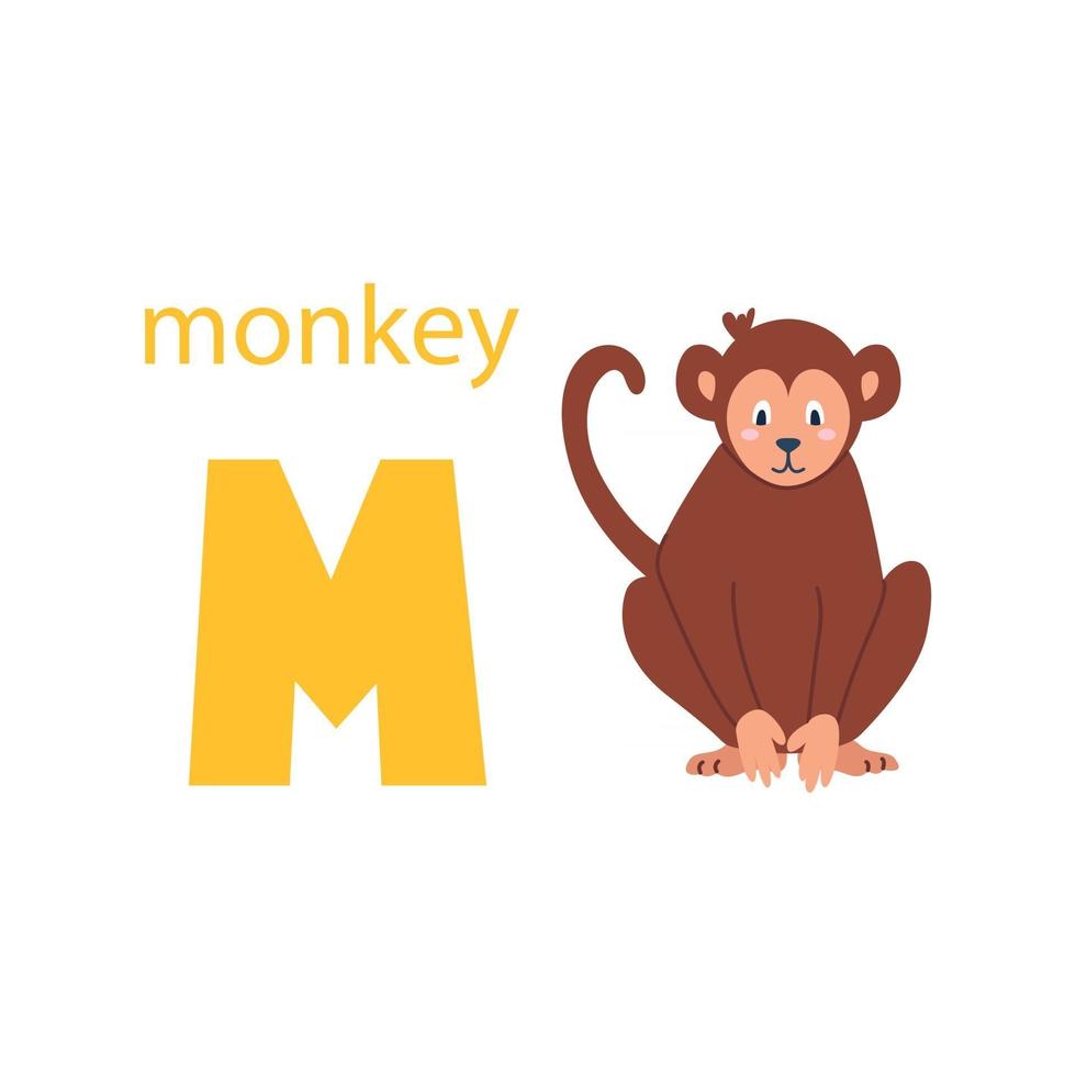 Cute monkey card. Alphabet with animals. Colorful design for teaching children the alphabet, learning English. Vector illustration in a flat cartoon style on a white background