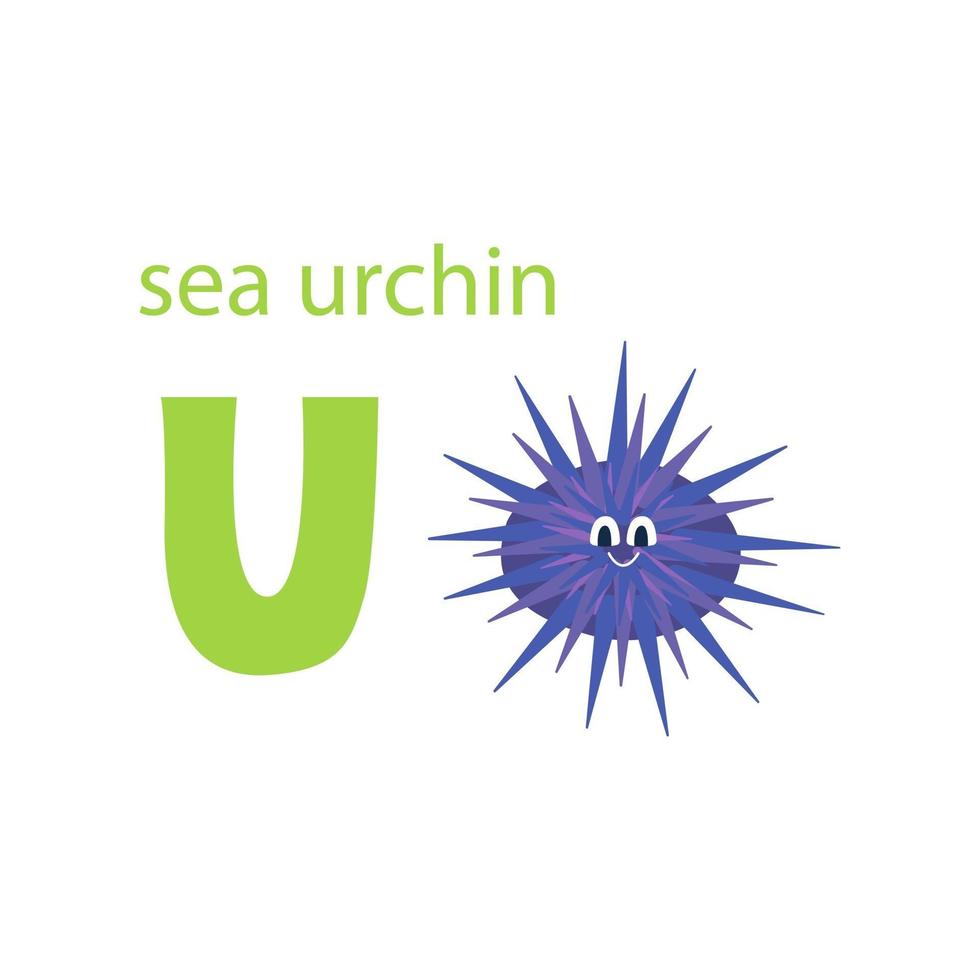 Cute sea urchin card. Alphabet with animals. Colorful design for teaching children the alphabet, learning English. Vector illustration in a flat cartoon style on a white background