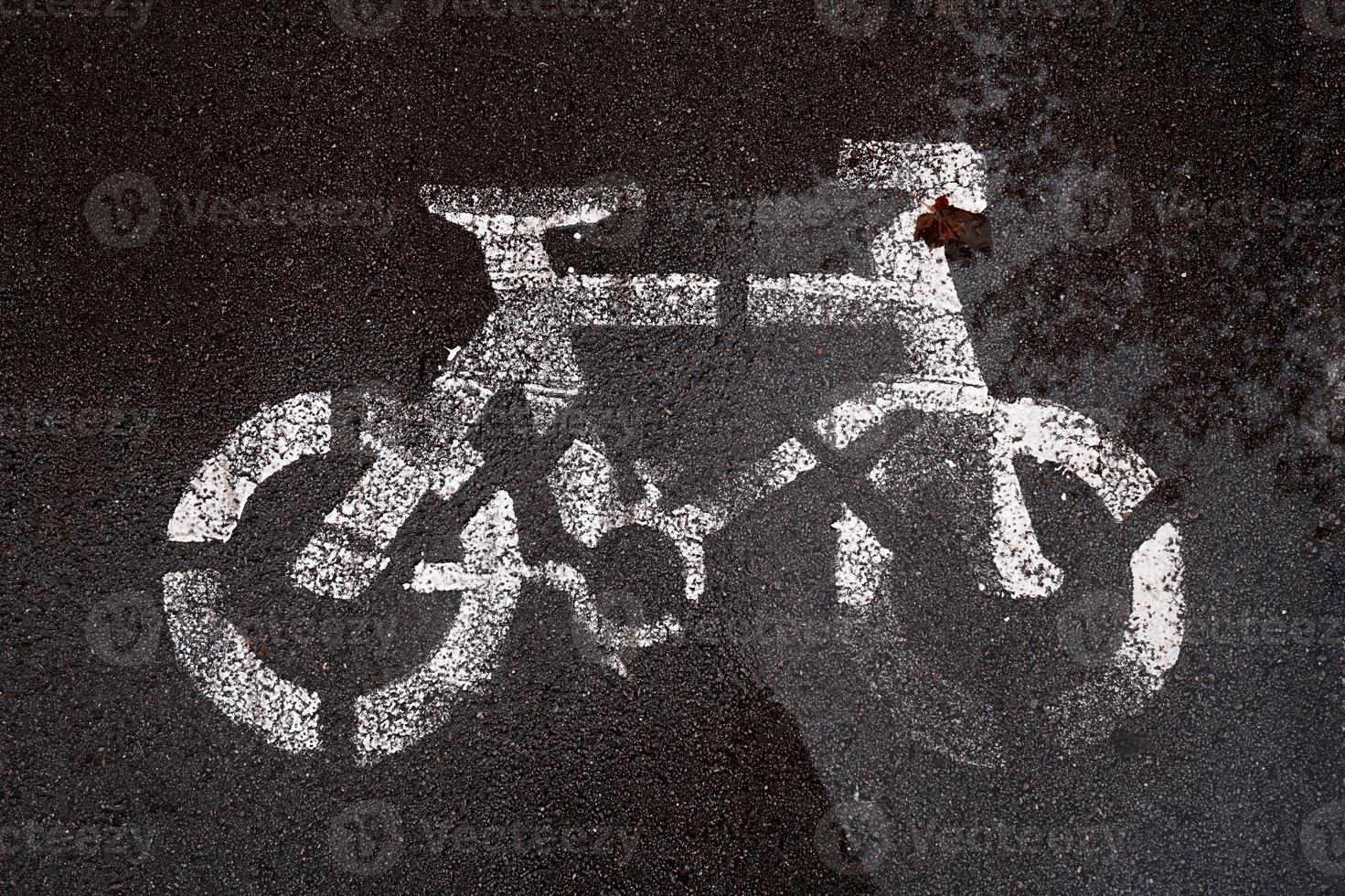 bicycle traffic signal on the street photo