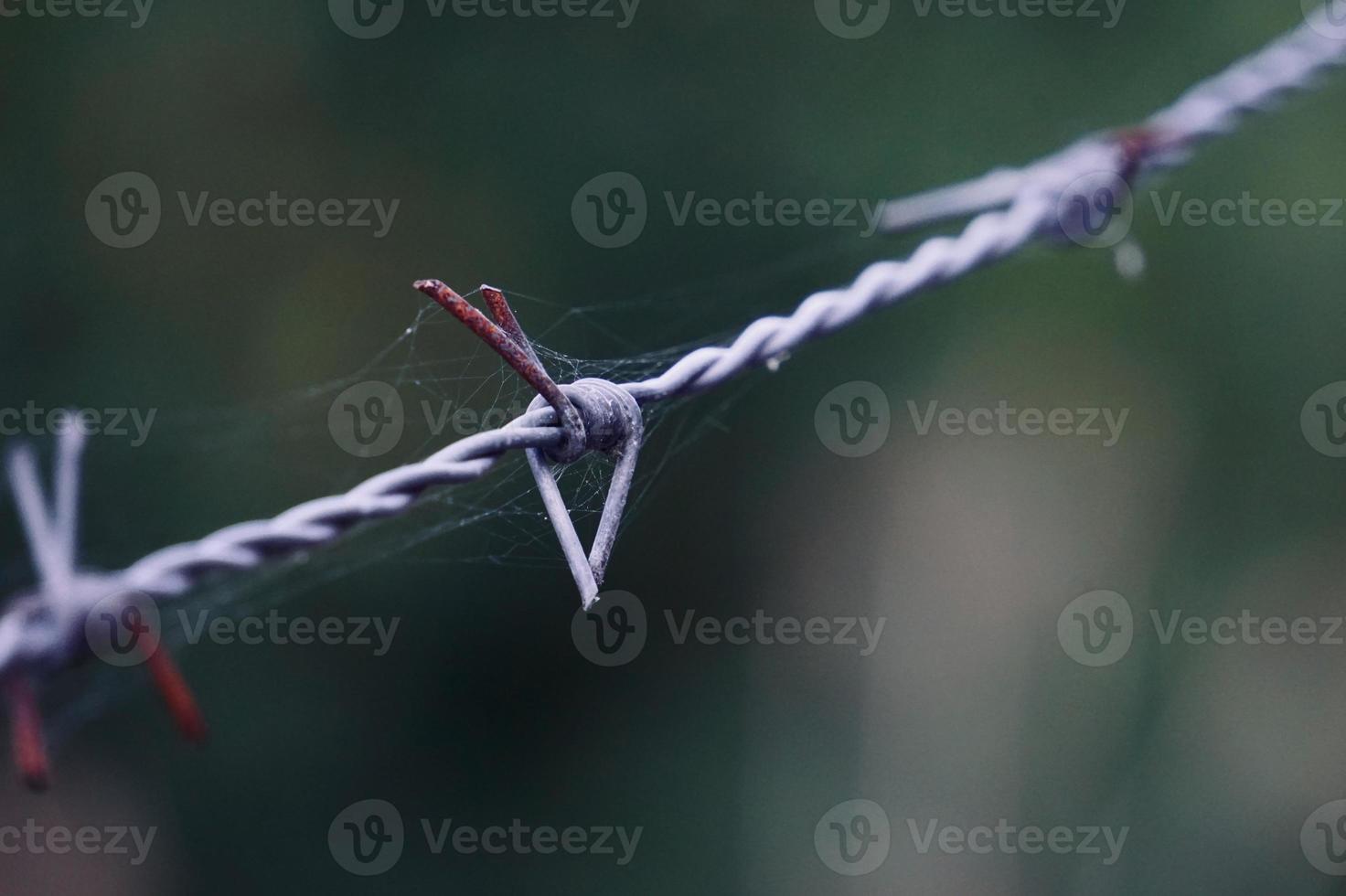 metallic barbed wire fence photo