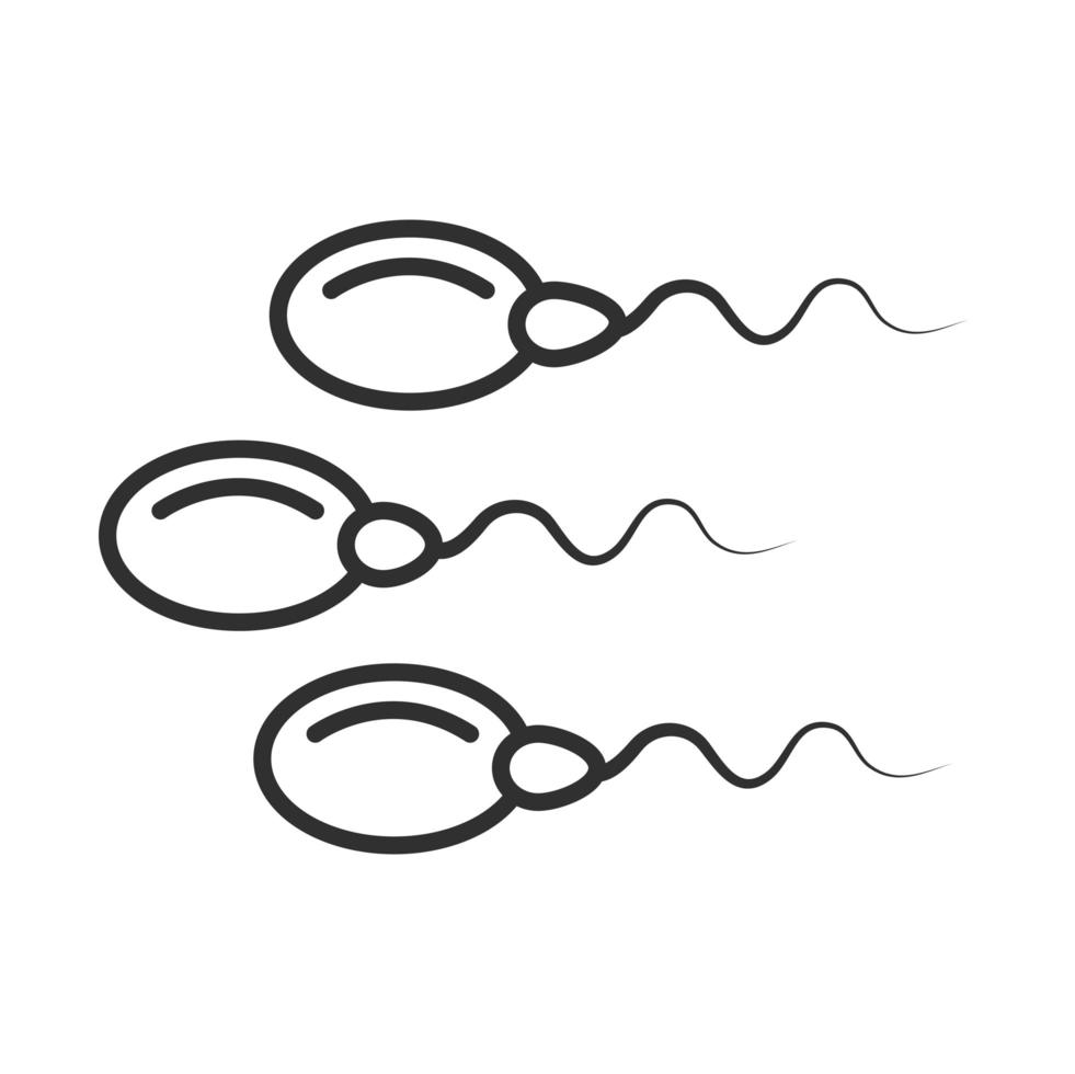 sexual health human sperm fertility genetic line icon vector