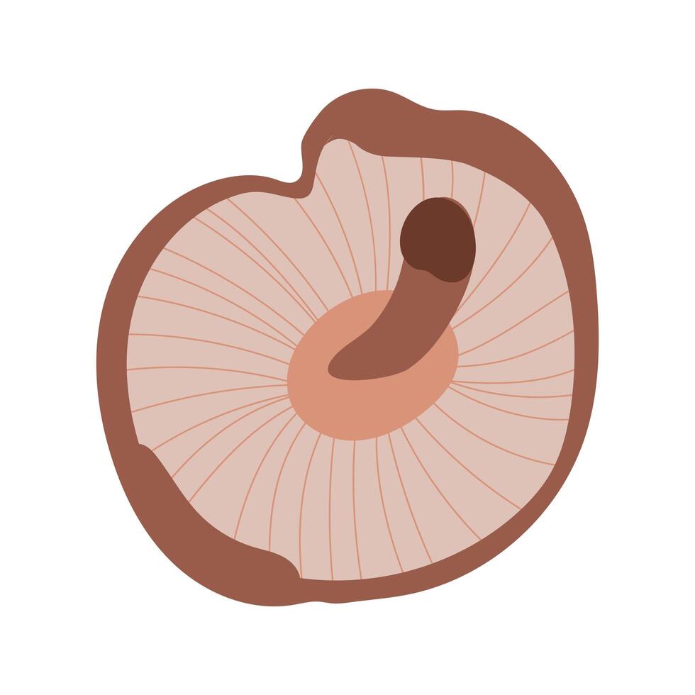 hongo planta praxillus involutus mano dibujar icono de estilo vector