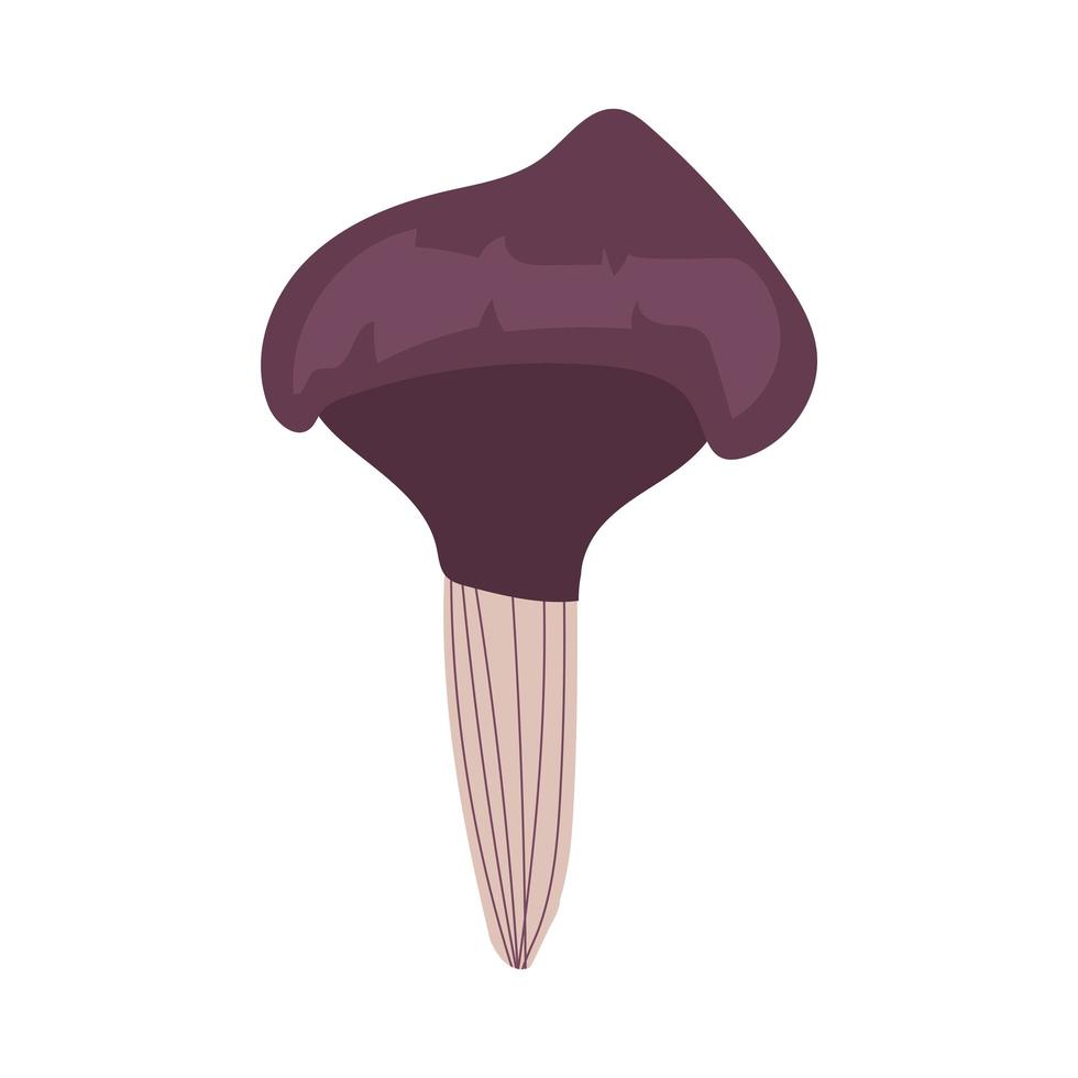 planta de hongos amanita porfiria estilo de dibujo a mano vector