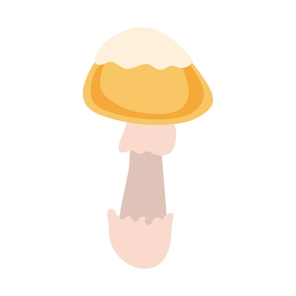 fungus plant cortinarius orellanus hand draw style vector