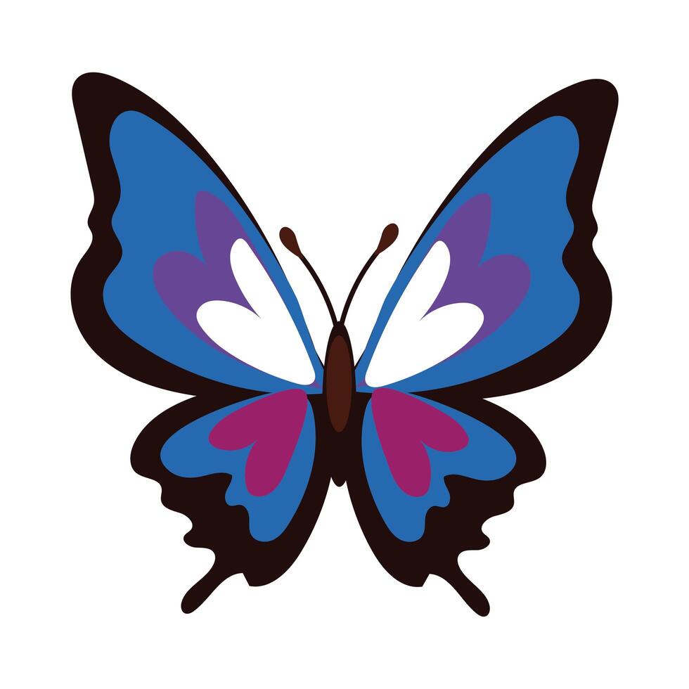 beautiful butterfly purple insect flat style icon vector