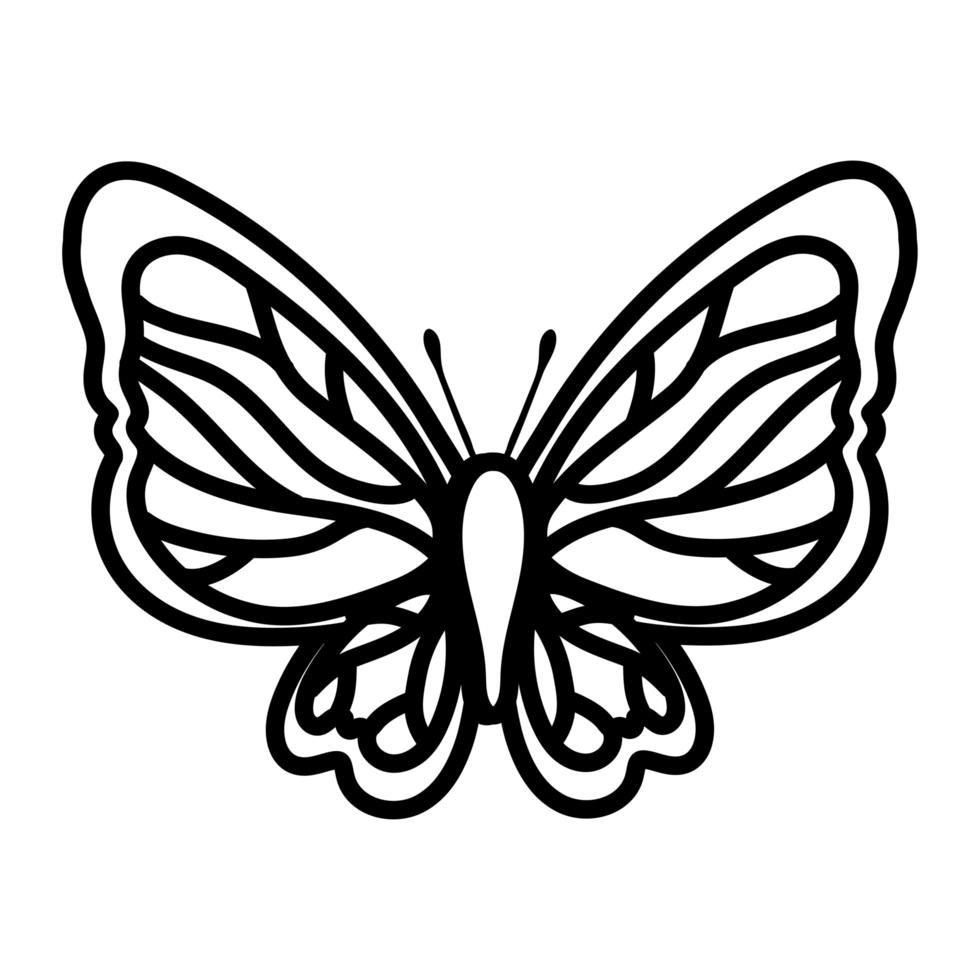 beautiful butterfly insect line style icon vector