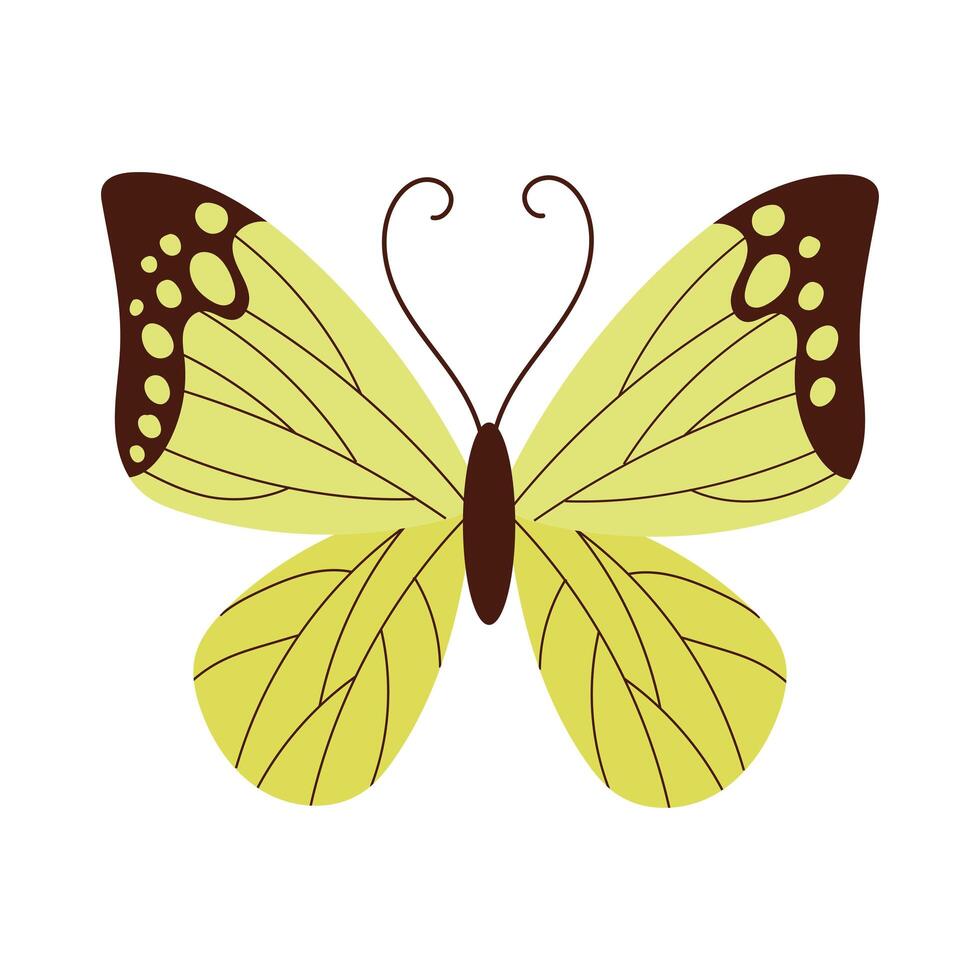 beautiful butterfly green insect flat style icon vector