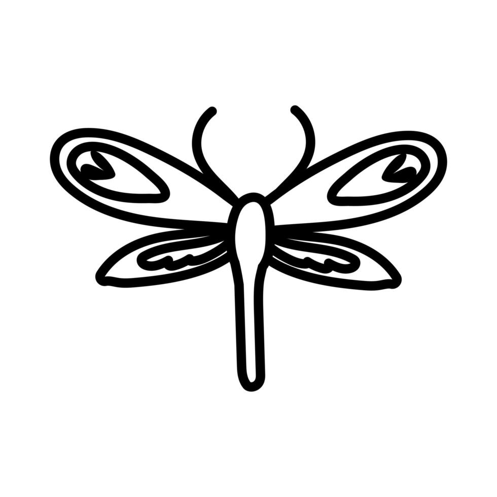 dragon fly insect line style icon vector