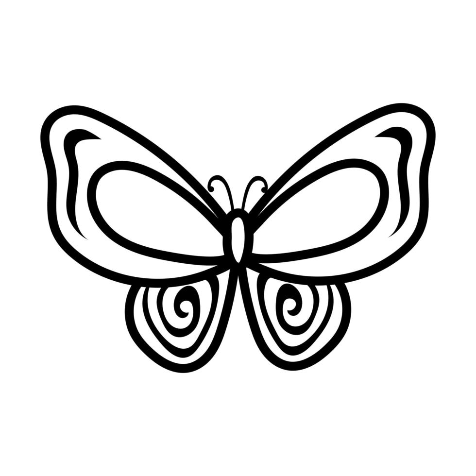 beautiful butterfly insect line style icon vector