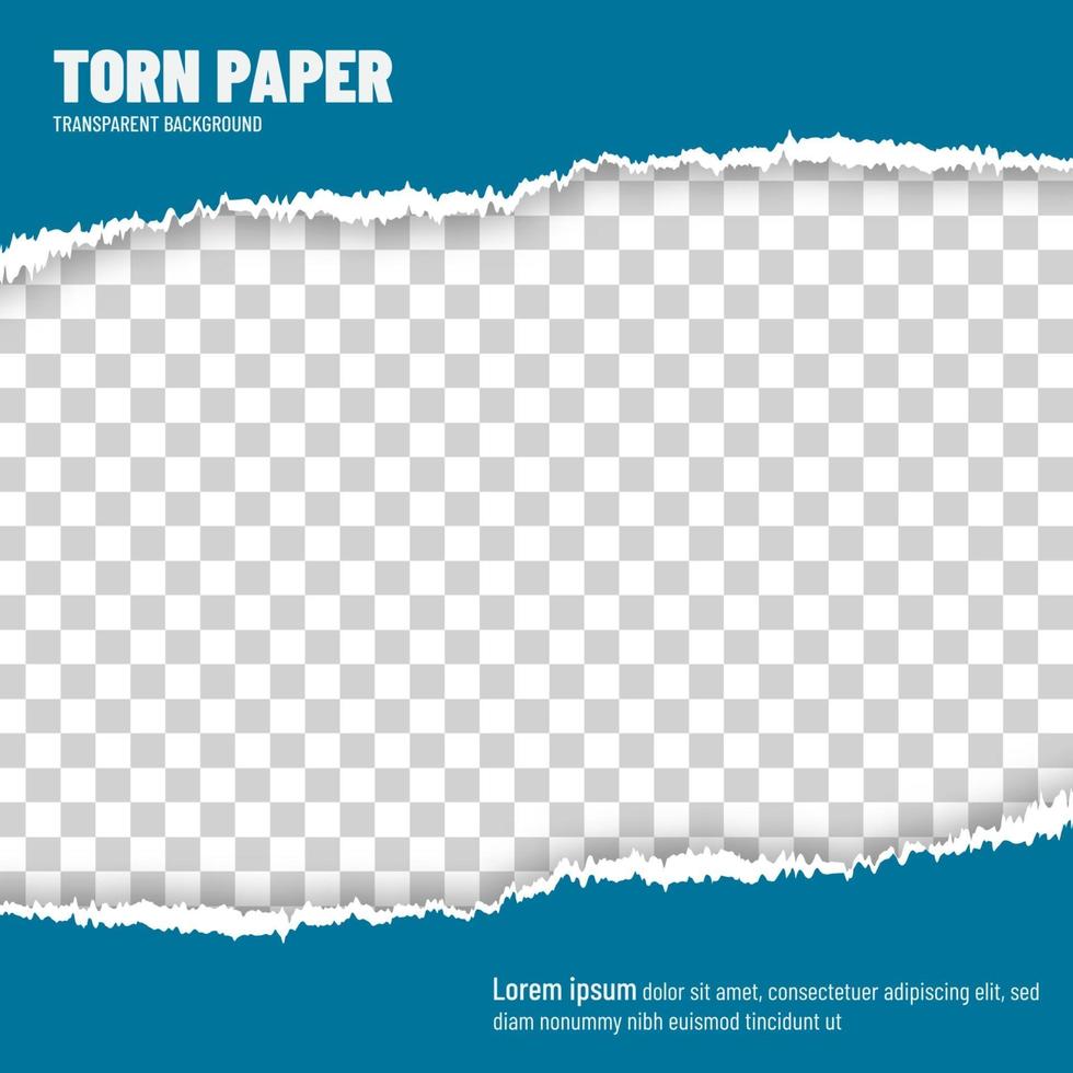 Torn paper blue vector