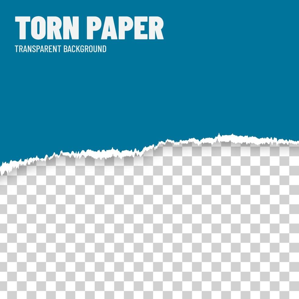 Tear torn paper vector