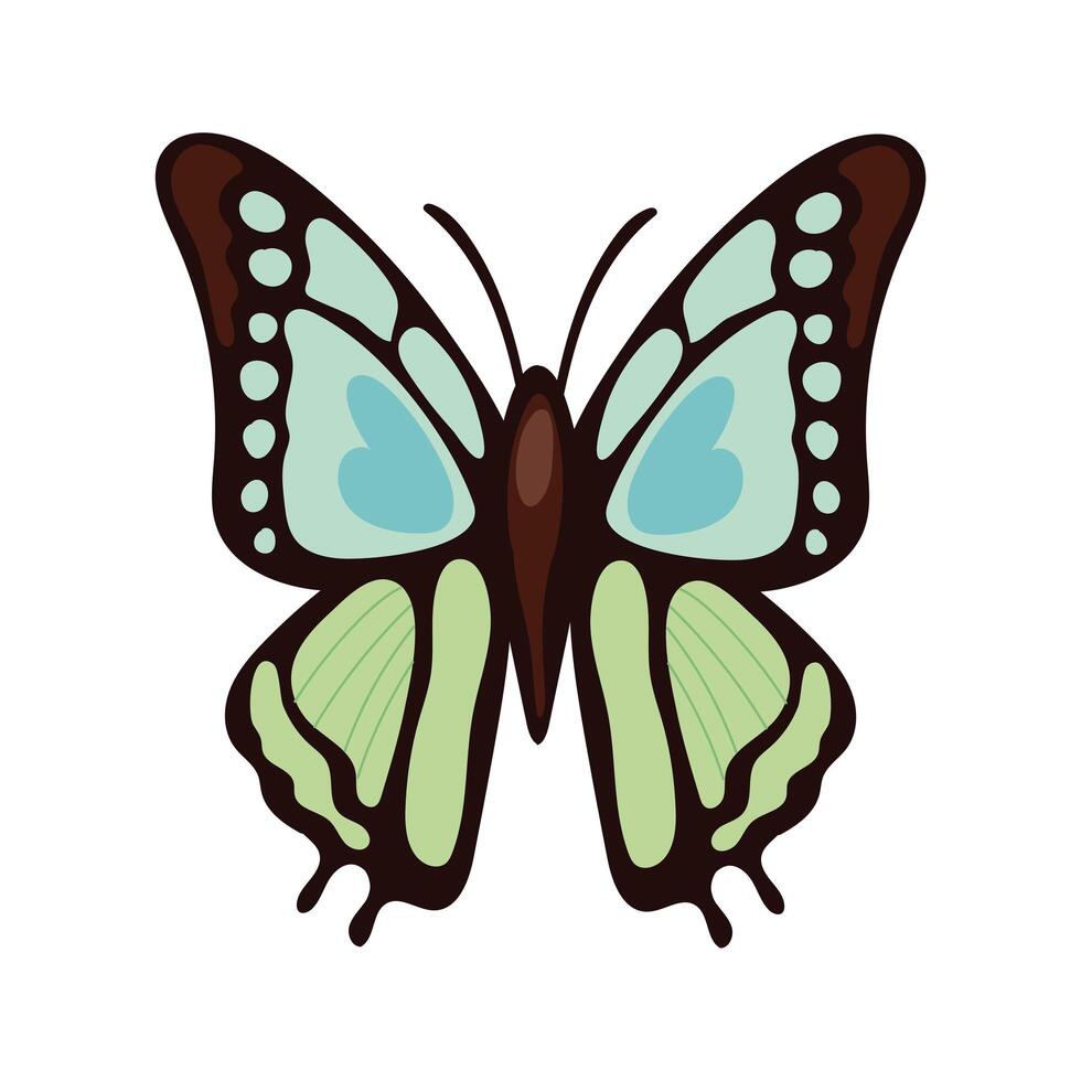 beautiful butterfly green insect flat style icon vector