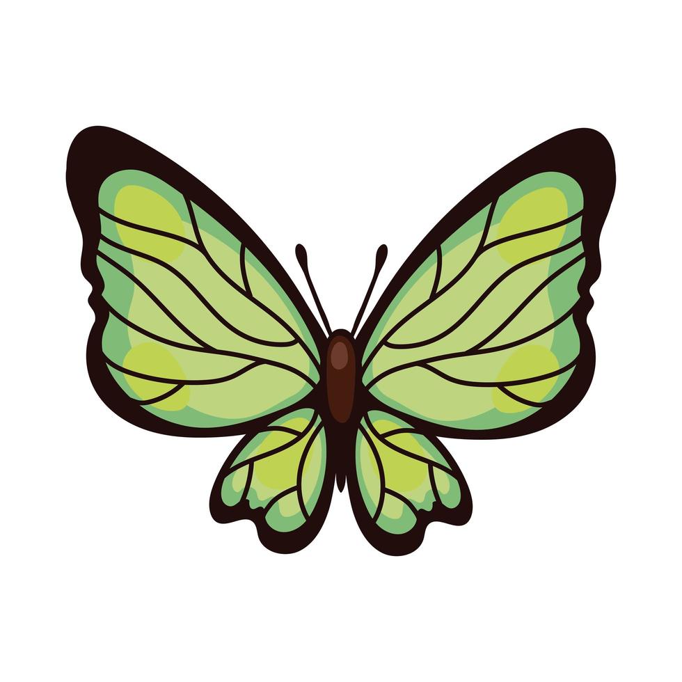 hermoso icono de estilo plano de insecto verde mariposa vector