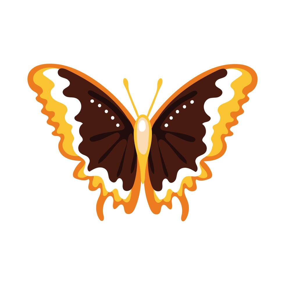 beautiful butterfly orange insect flat style icon vector