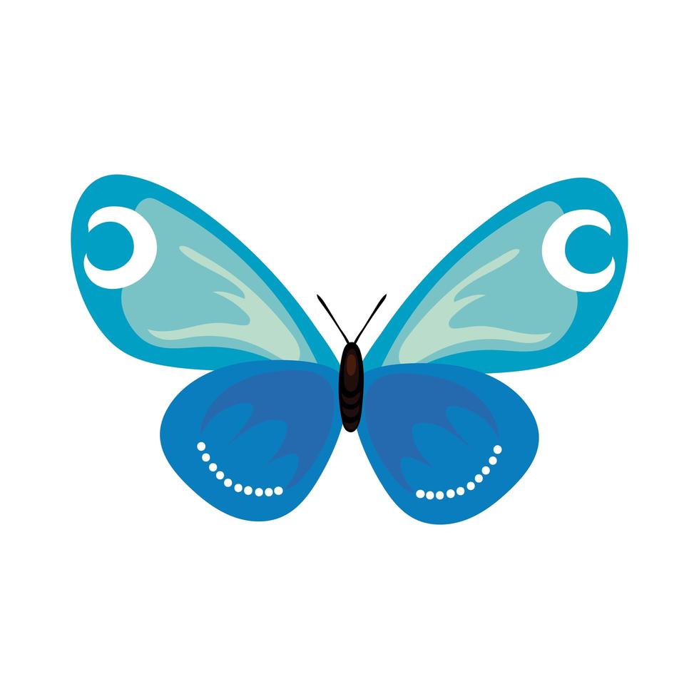 hermoso insecto mariposa azul icono de estilo plano vector