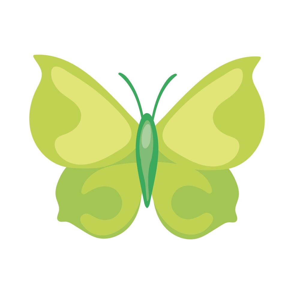 beautiful butterfly green insect flat style icon vector