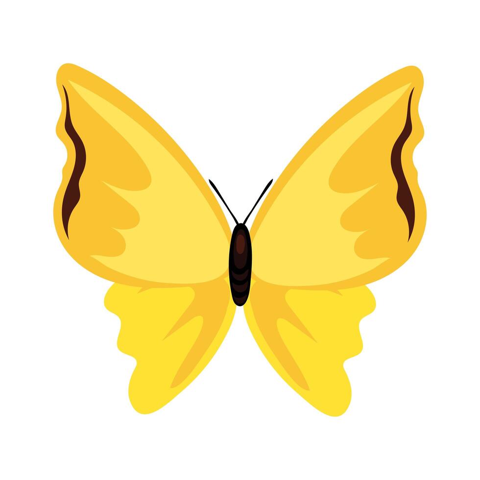 beautiful butterfly yellow insect flat style icon vector