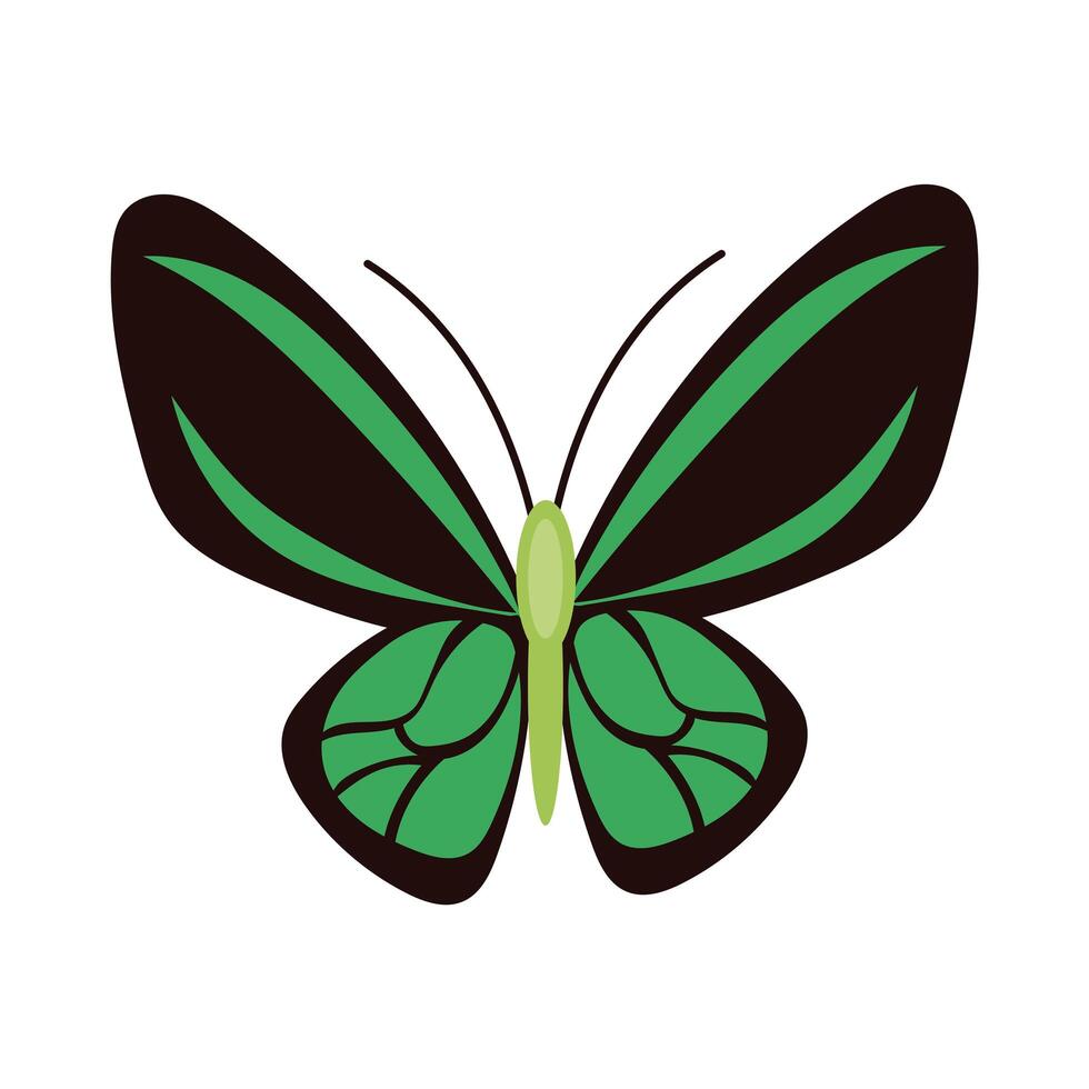 hermoso icono de estilo plano de insecto verde mariposa vector