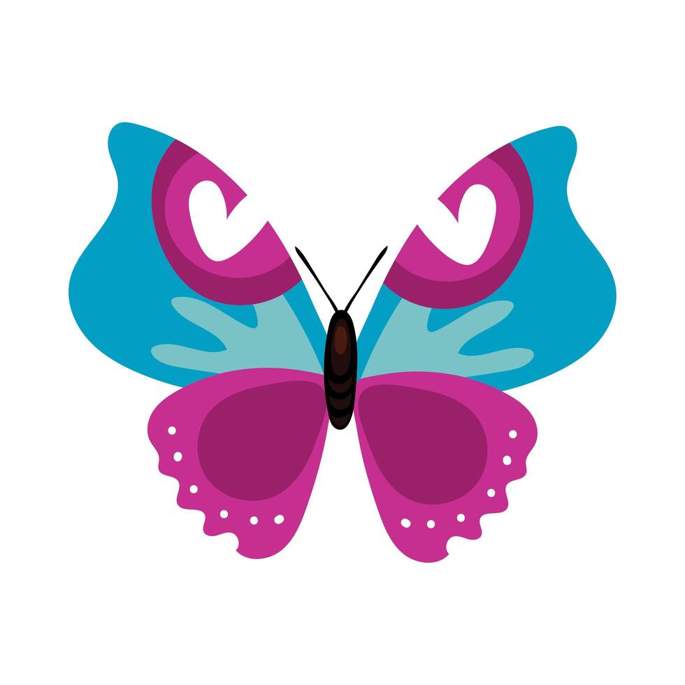 beautiful butterfly purple insect flat style icon vector