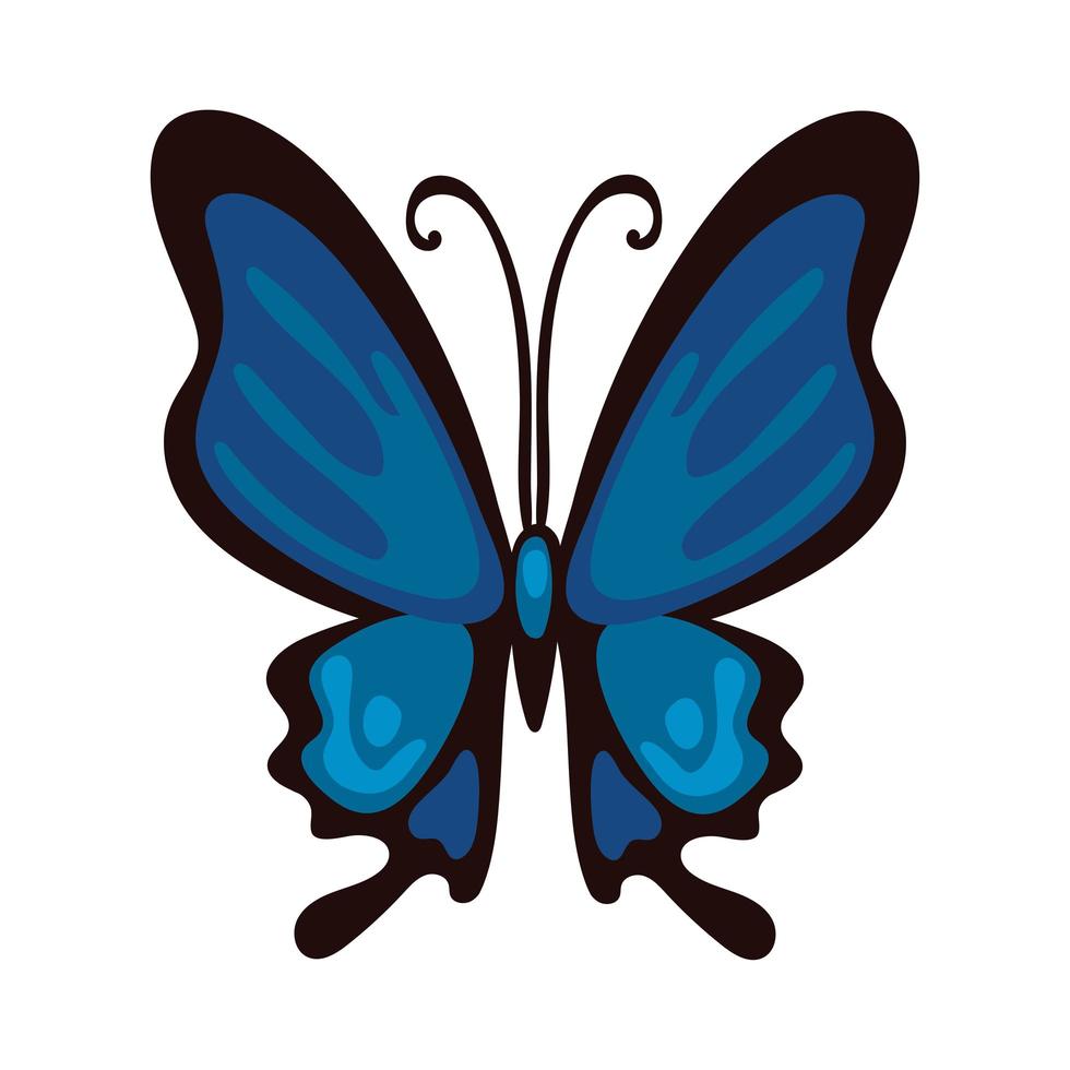 beautiful butterfly insect blue flat style icon vector