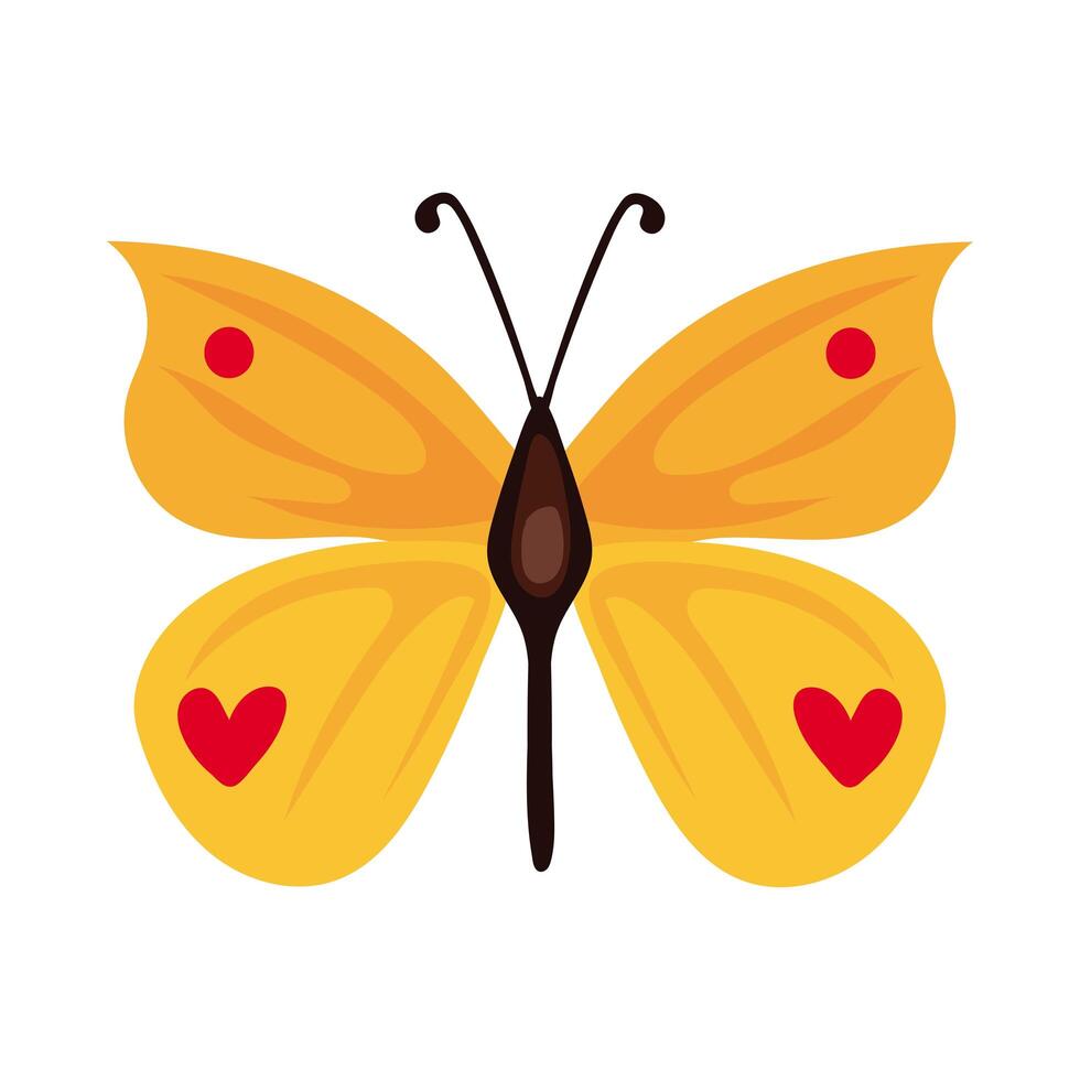 beautiful butterfly yellow insect flat style icon vector
