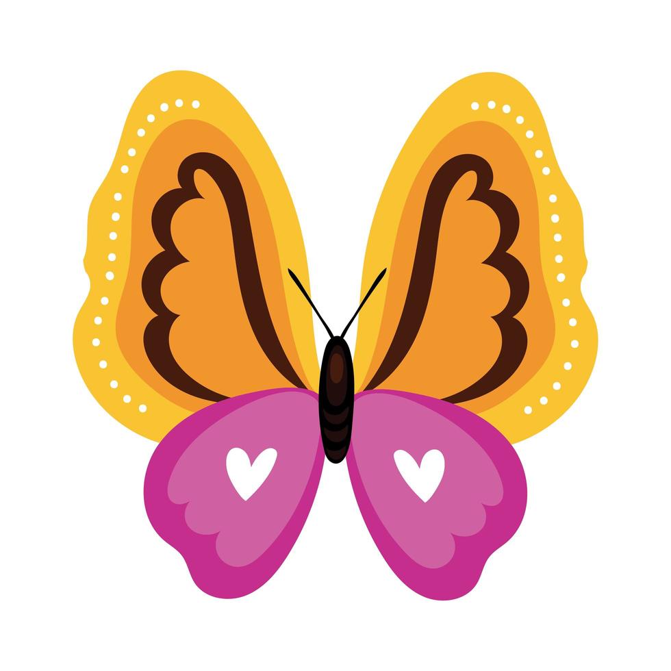 beautiful butterfly yellow insect flat style icon vector