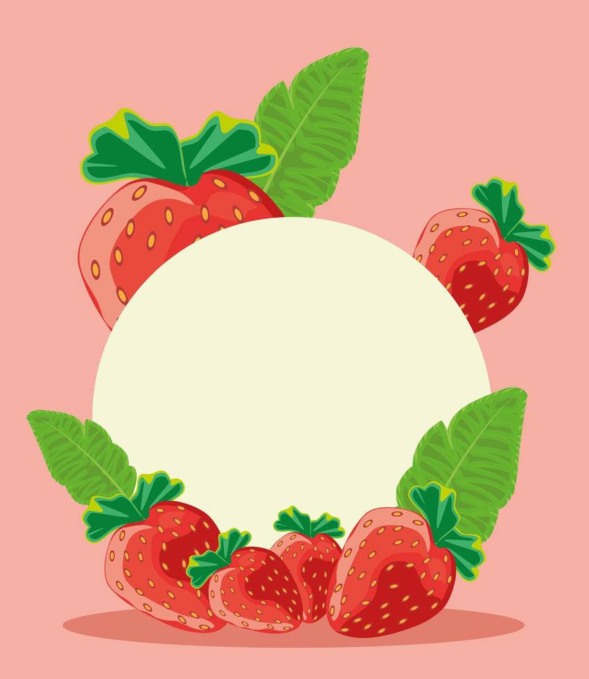 tropical fruits label vector