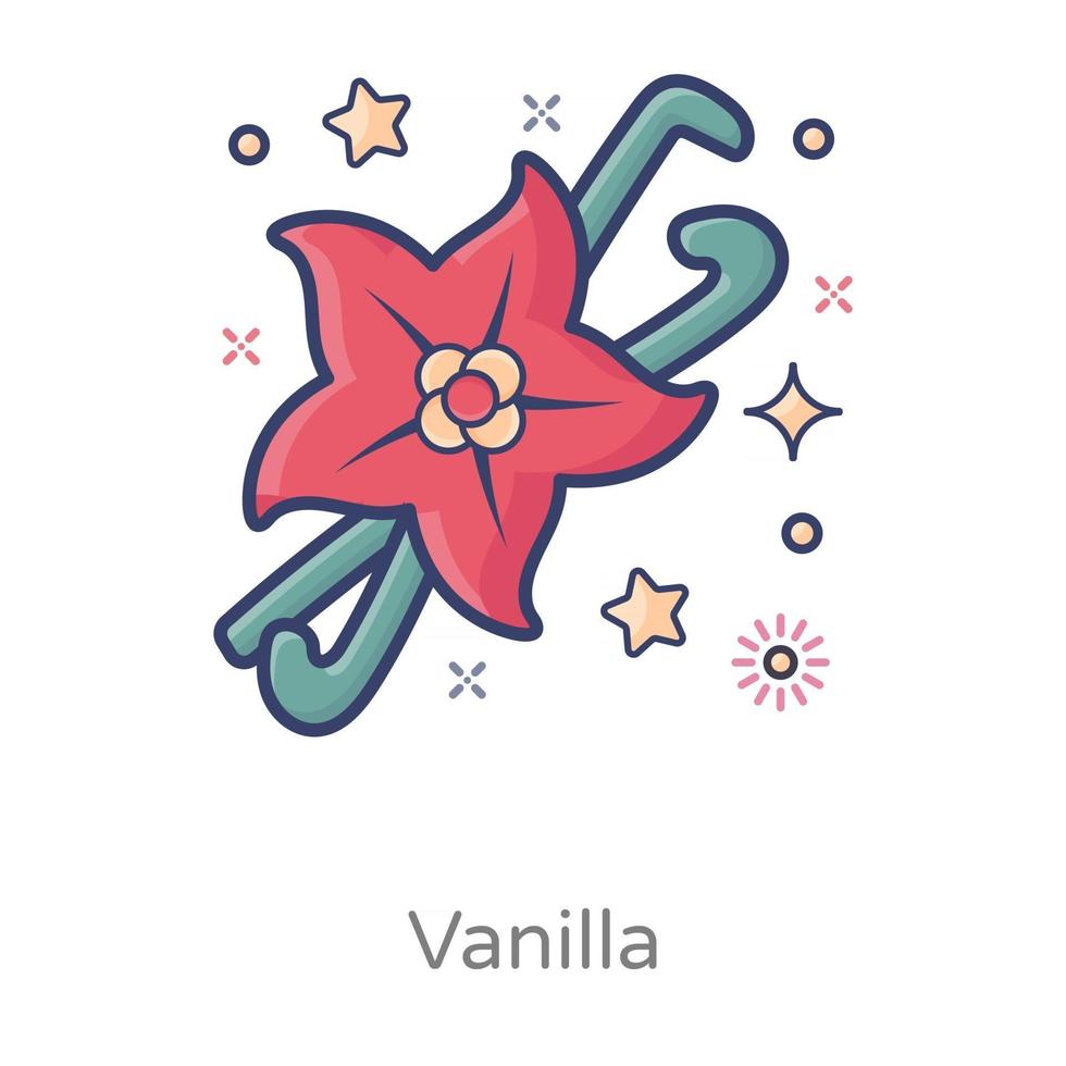 Vanilla Pod spice vector