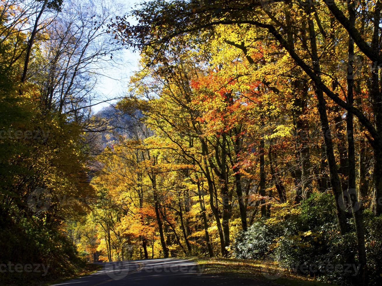 caer en la avenida blue ridge foto