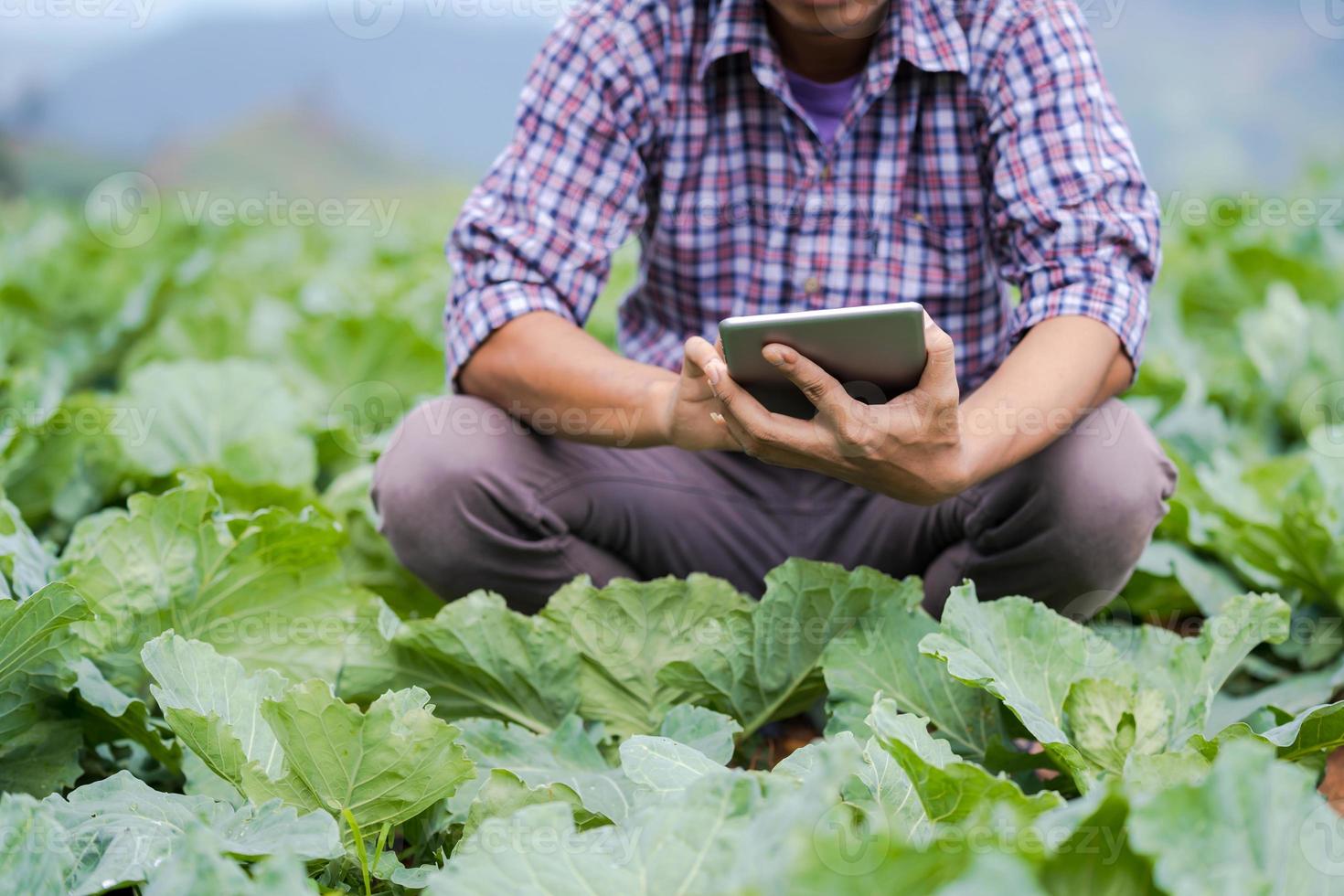 Agricultor asiático usando una tableta digital y comprobando las plántulas jóvenes en su granja en el huerto foto