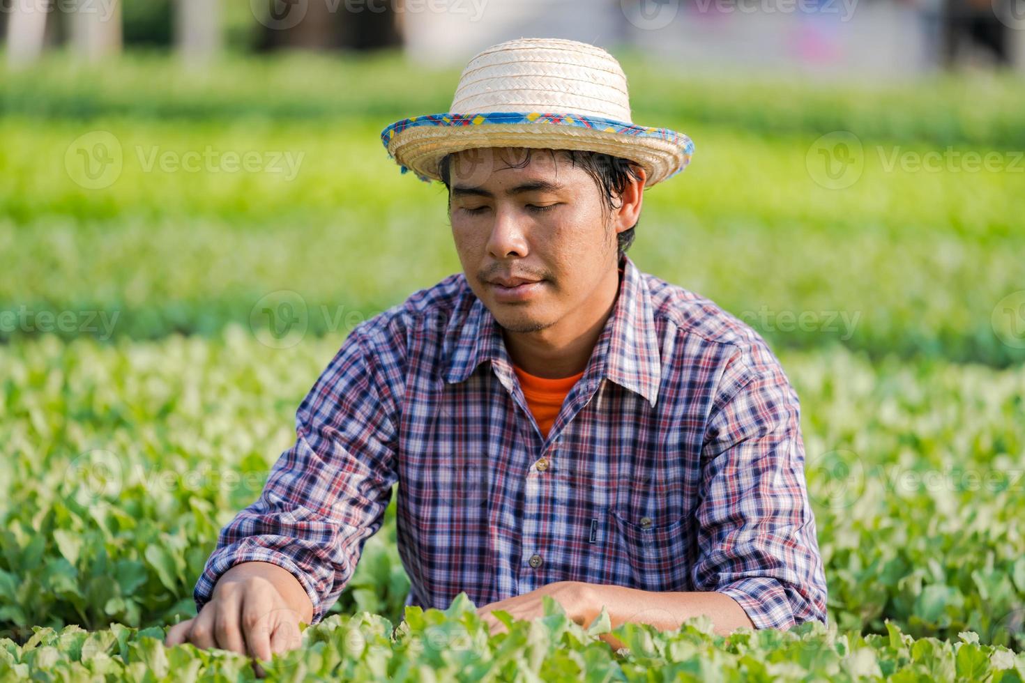 Agricultor asiático con sombrero comprobando las plántulas jóvenes en su granja en el huerto foto