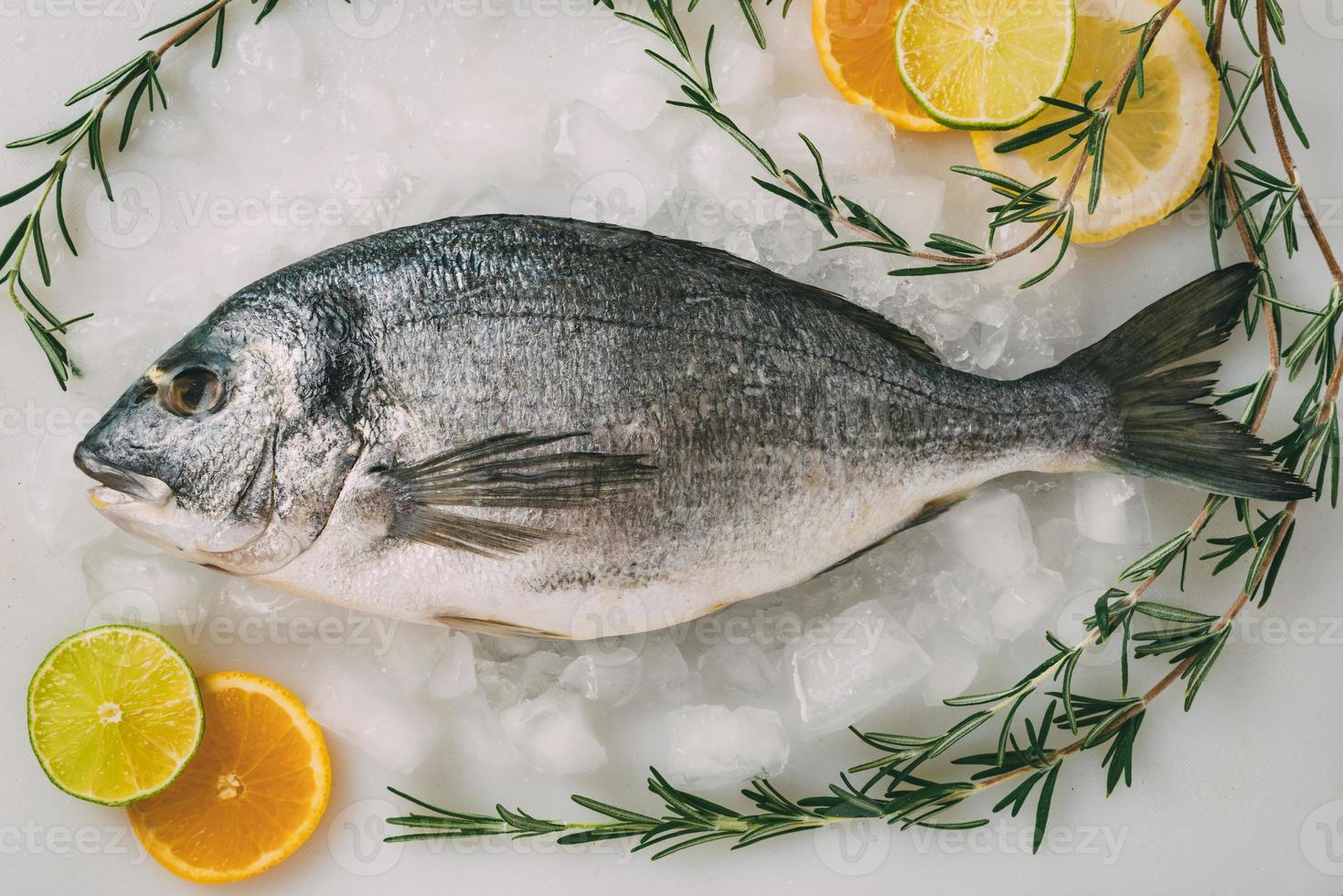 Sea gilt-head bream fish on ice with rosemary, lemon, orange and lime. Fresh Orata, Dorade fish on kitchen table. photo