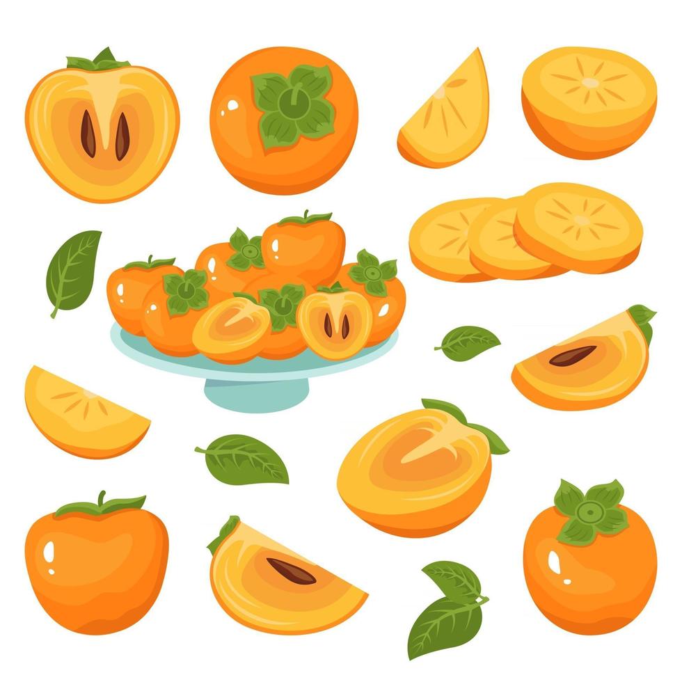 Persimmon icons set, whole fruit, half, slices, with and without seeds vector