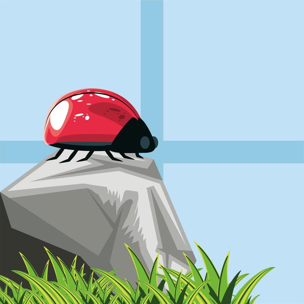 ladybug on stone vector