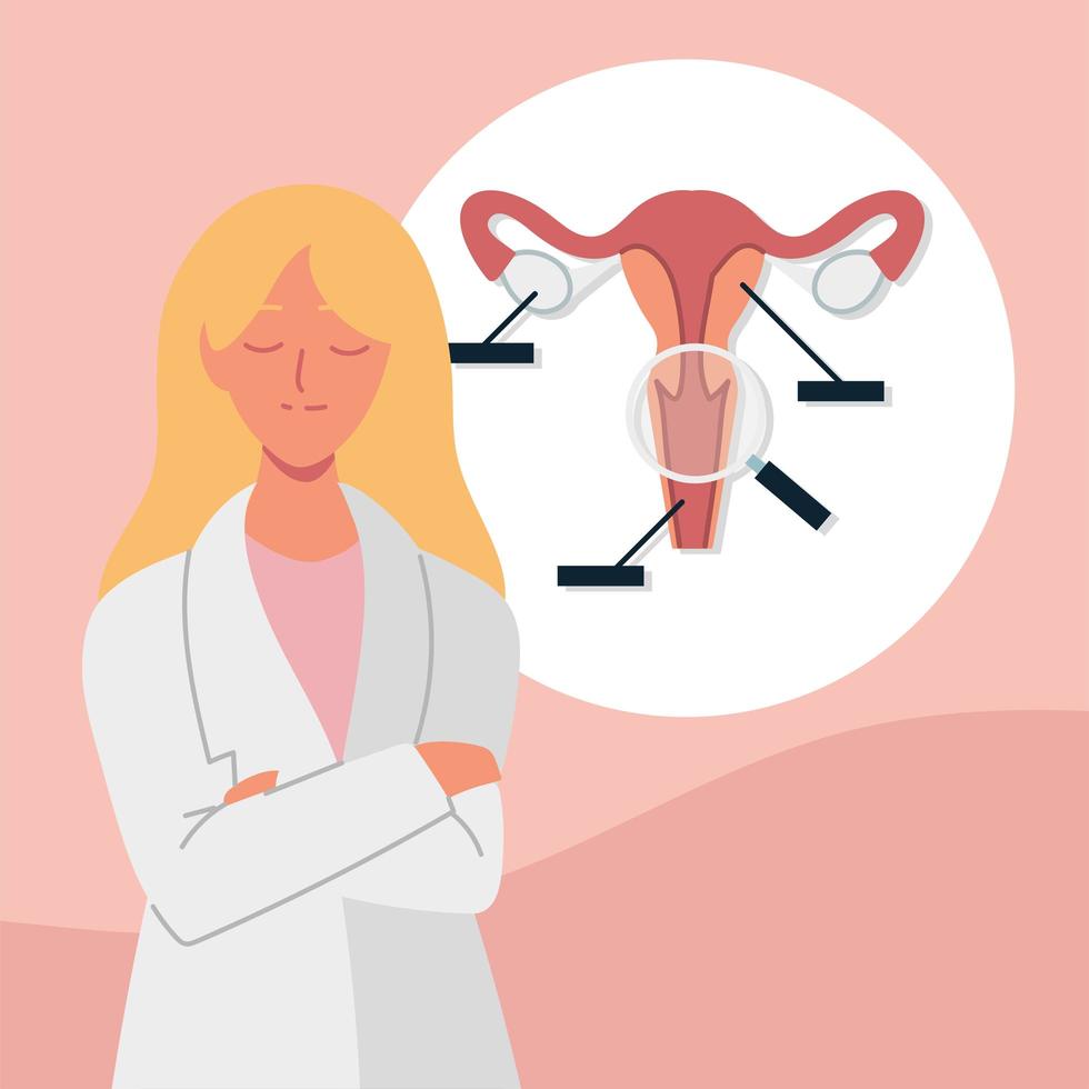 ginecólogo anatómico uterino vector