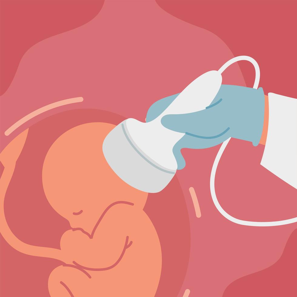 scanning baby on womb vector