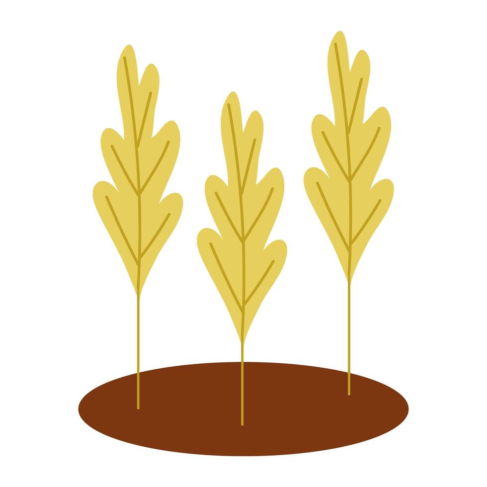 autumn trees cultivating plants ecology scene vector