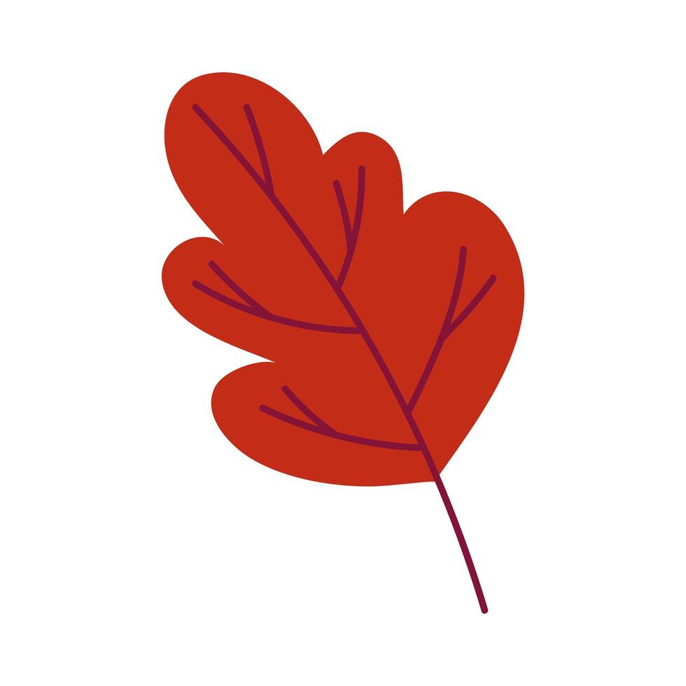 autumn season leaf plant icon vector