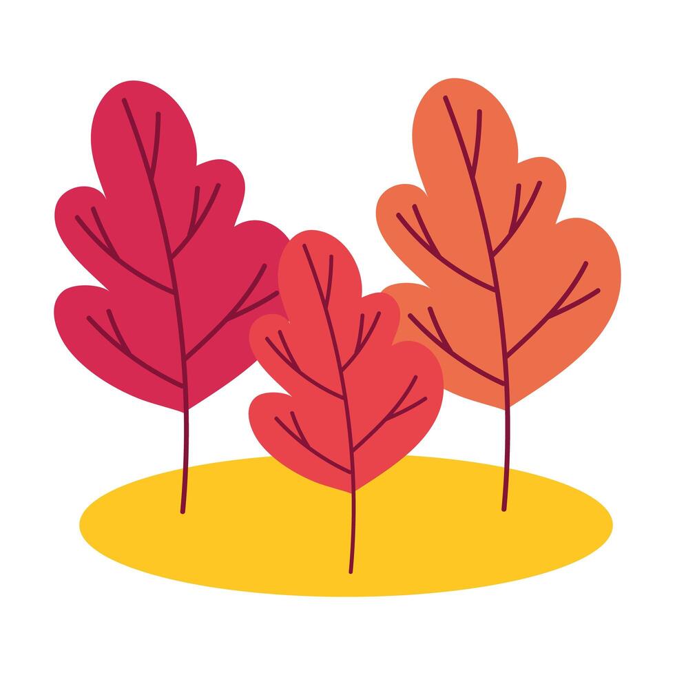 autumn trees cultivating plants ecology scene vector