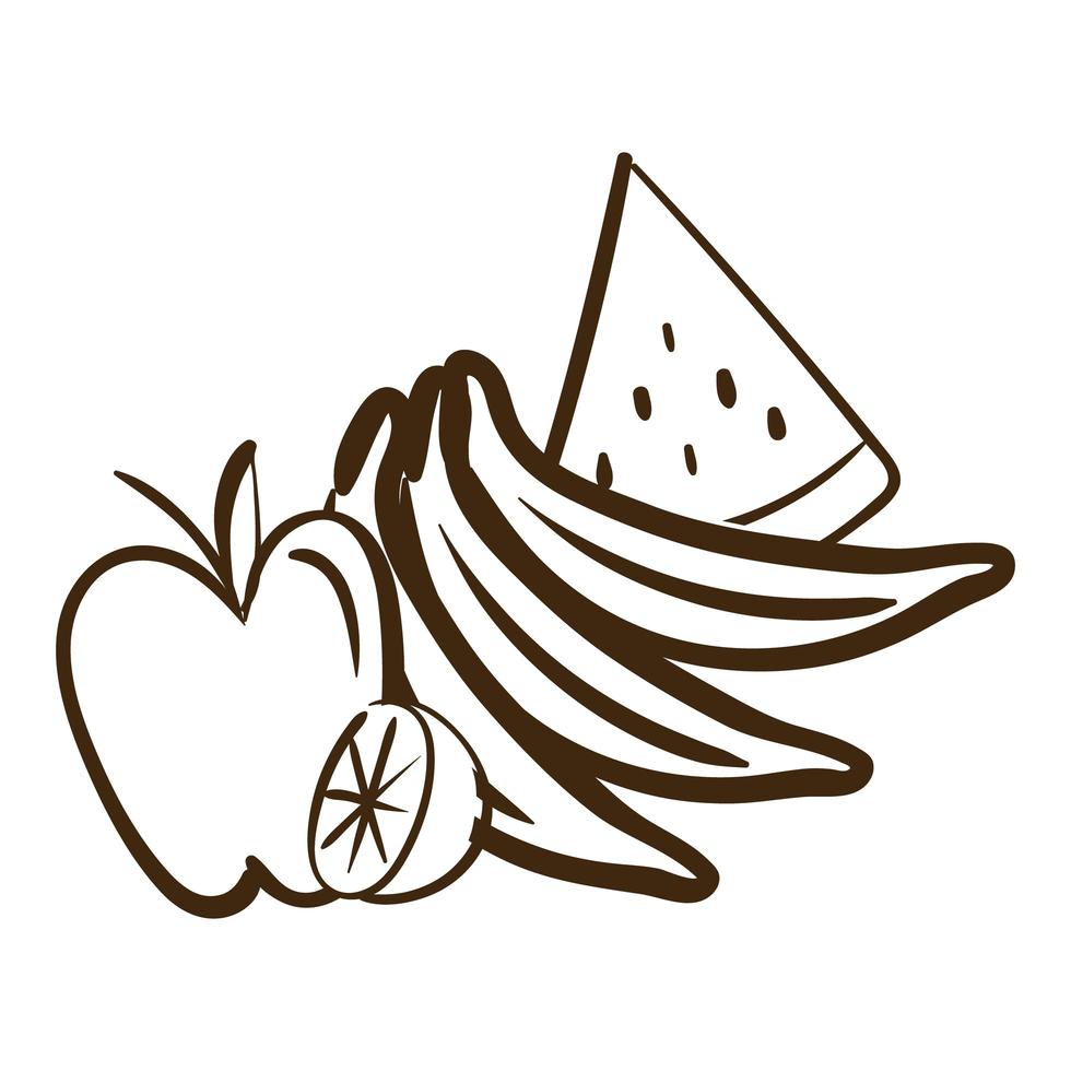 icono de estilo de línea de frutas frescas vector