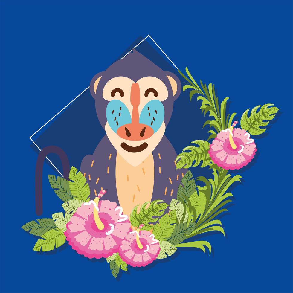 dibujos animados de flores de babuino vector