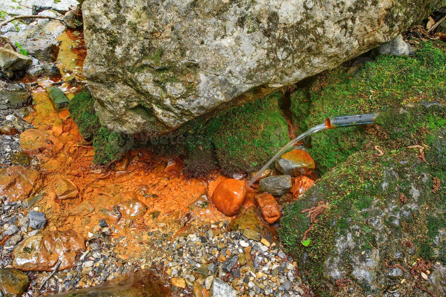 Ferruginous water source on the Italian Alps photo