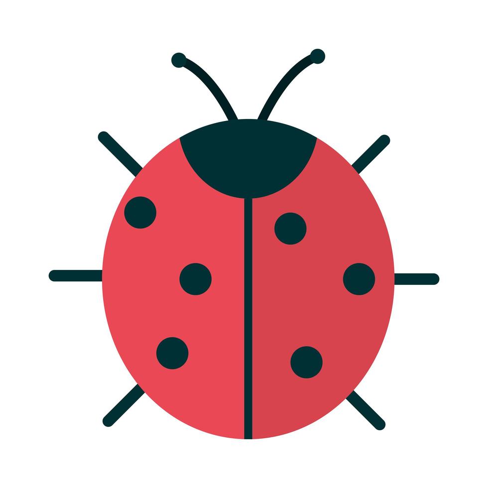 ladybug insect animal flat icon style vector