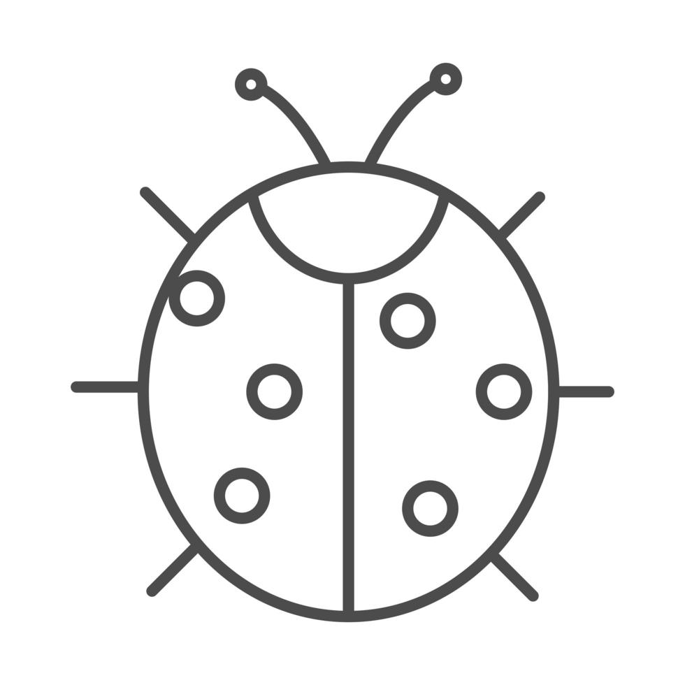 ladybug insect animal line icon style vector